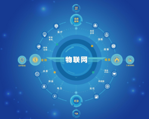 物聯(lián)網(wǎng) 物聯(lián)網(wǎng)